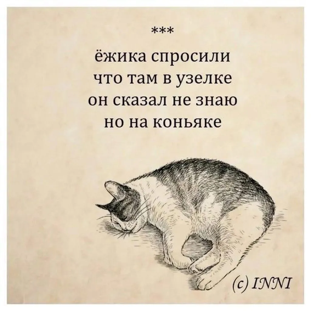 Посмеялся сам - поделись с другом!!!