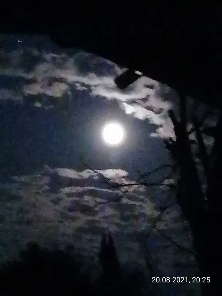 Чайная беседка