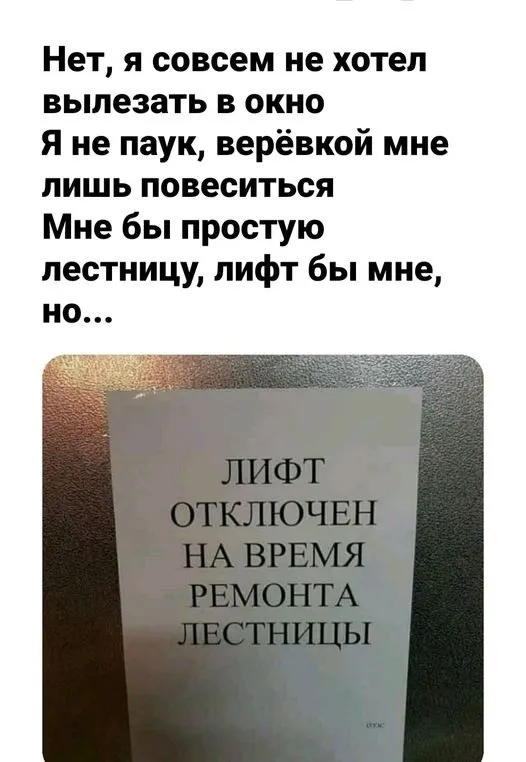 Всюду рифмы