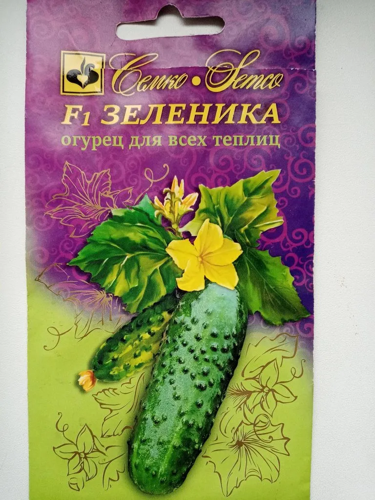 Сажаем, растим, собираем урожай…