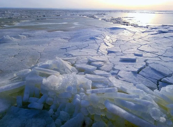 Рекордно низкий уровень морского ледяного покрова в Антарктике