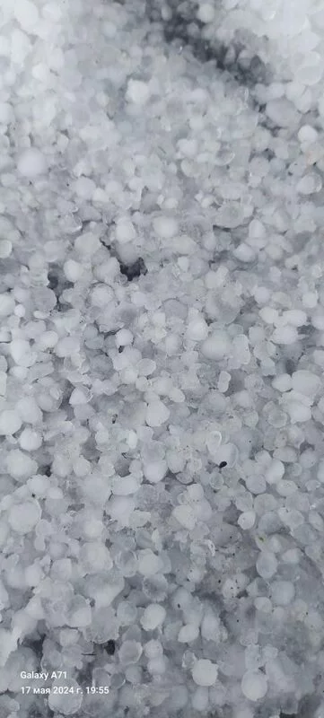 Чайная беседка