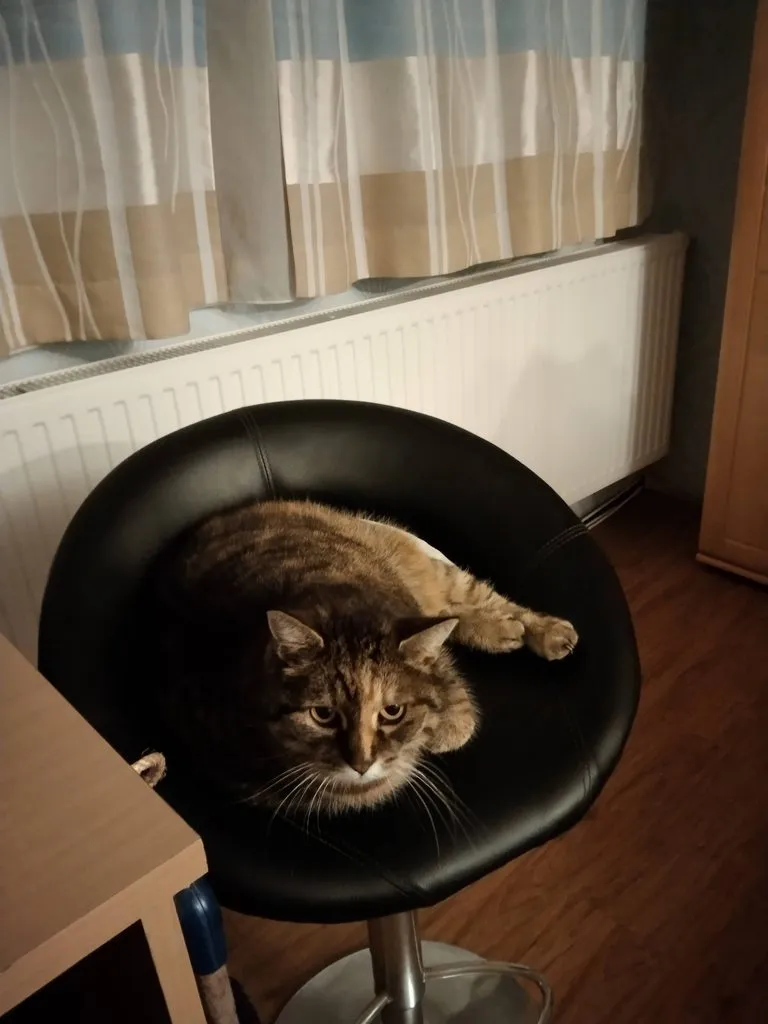 Чайная беседка