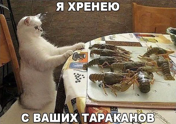 Посмеялся сам - поделись с другом!!!