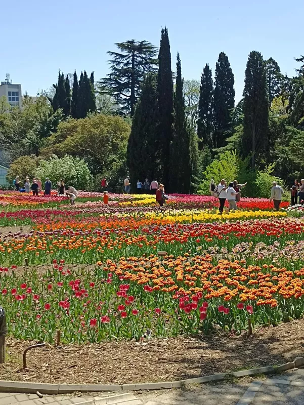 Флора