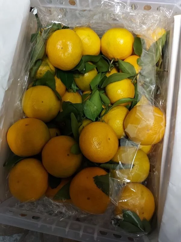 Где, что и когда купить в Москве