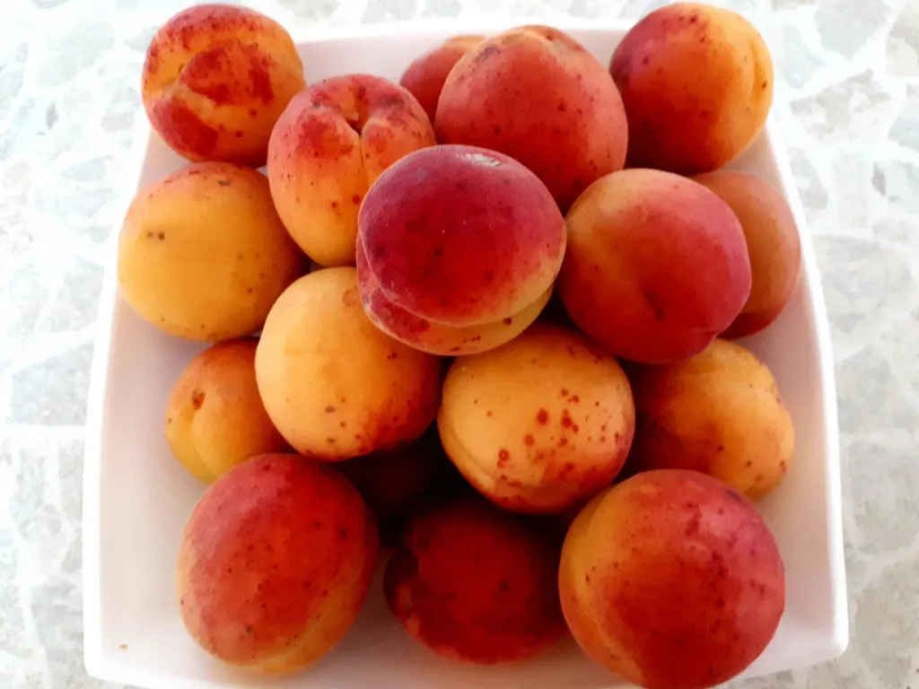 Чайная беседка