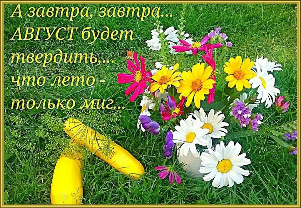 Кафе «У пани Сони»