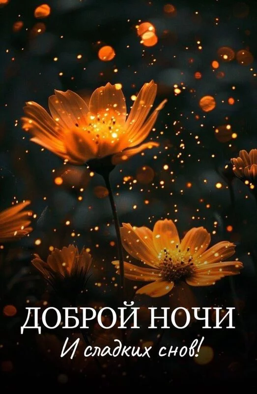 Кафе "У пани Сони"
