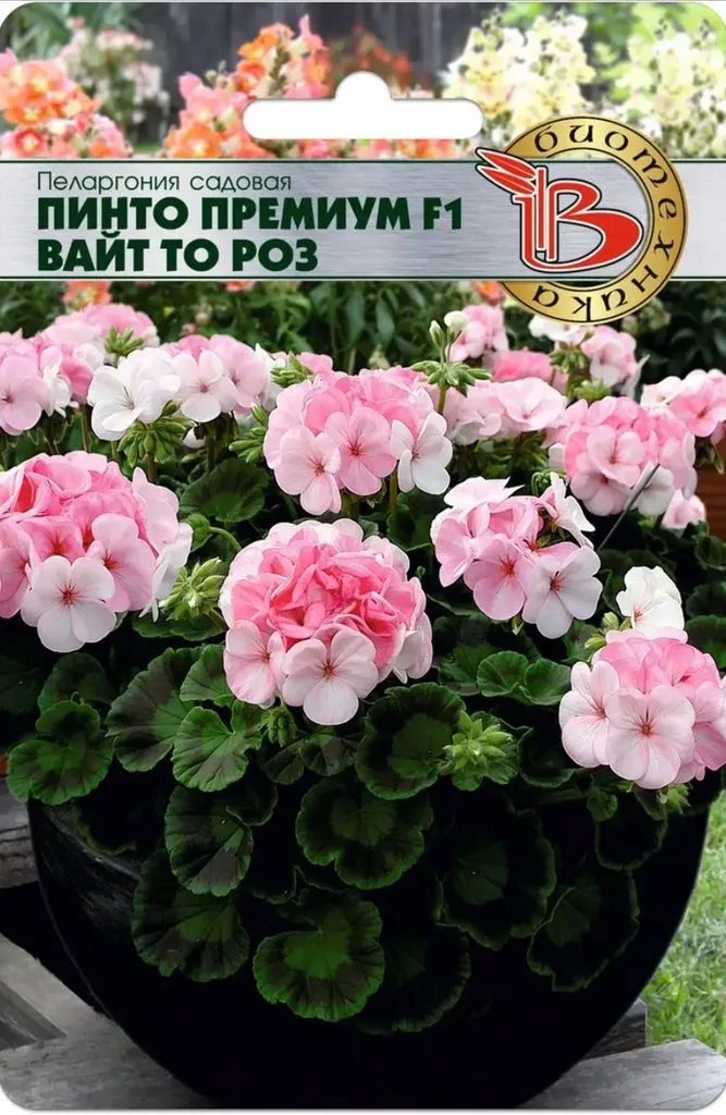 Флора