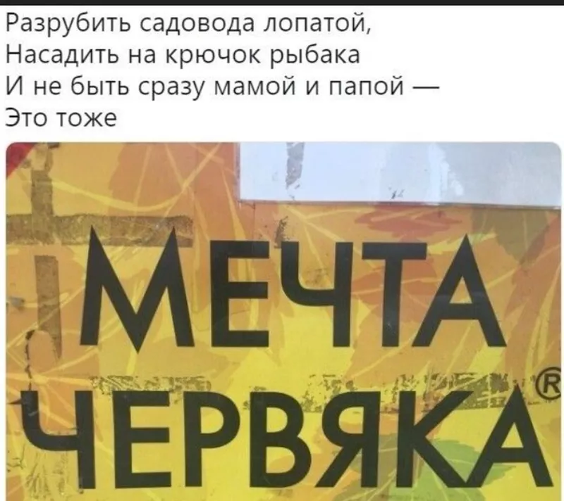 Всюду рифмы