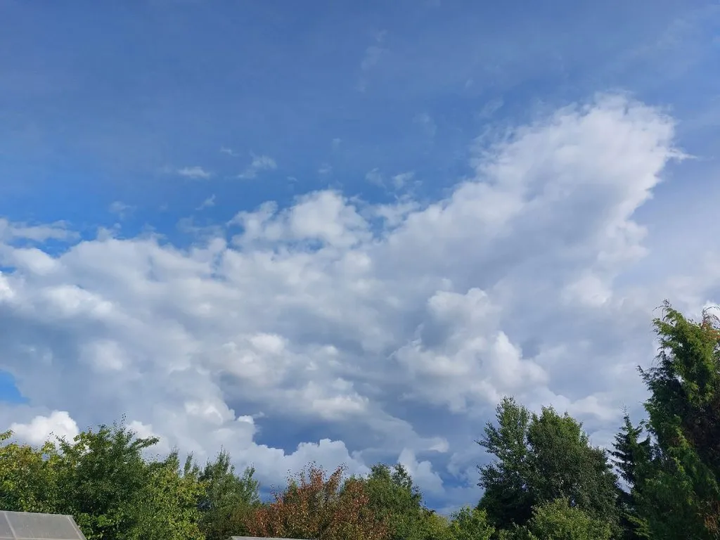 Такое разное небо