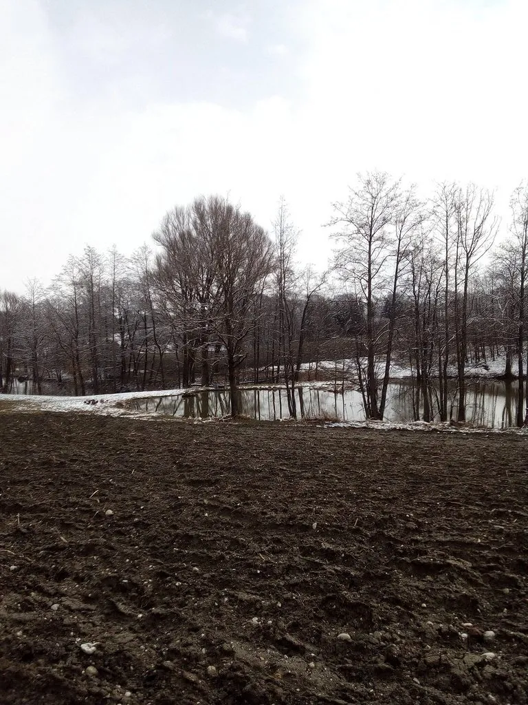 Tapтaлeтки & Ко