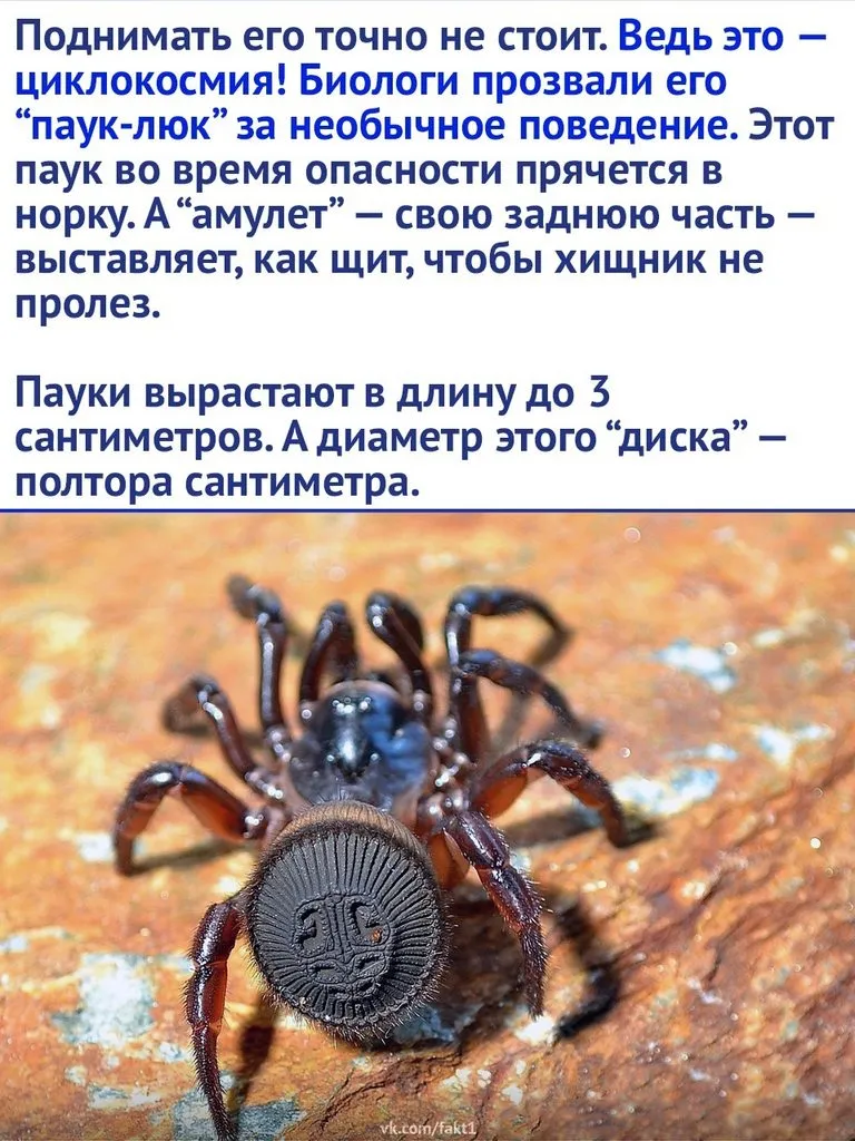 Это интересно!