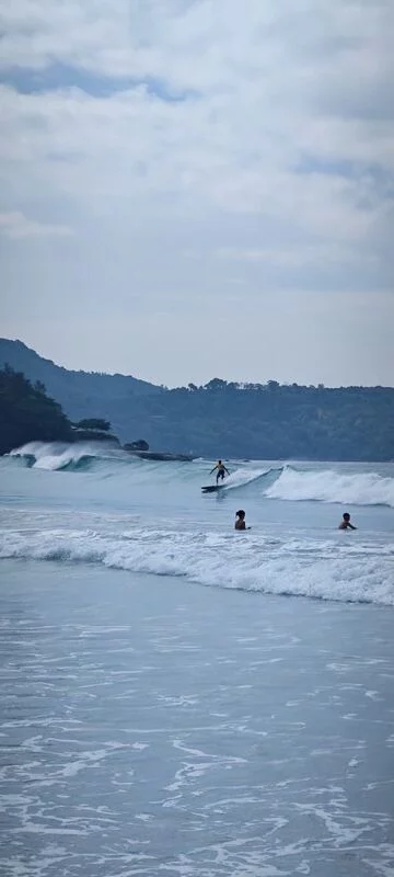 Чайная беседка