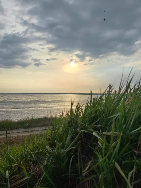 Такое разное небо