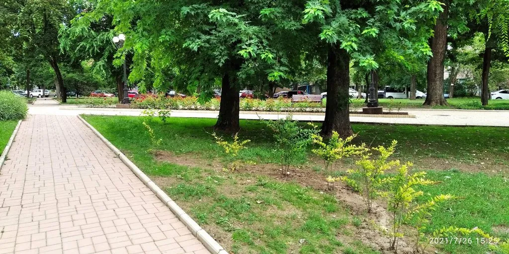 Tapтaлeтки & Ко