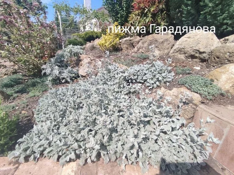 Загородная жизнь - обустройство на своей земле во всем ее разнообразии