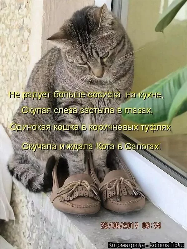 Посмеялся сам - поделись с другом!!!