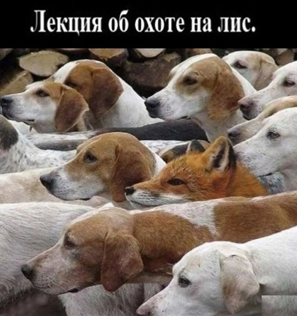 Посмеялся сам - поделись с другом!!!
