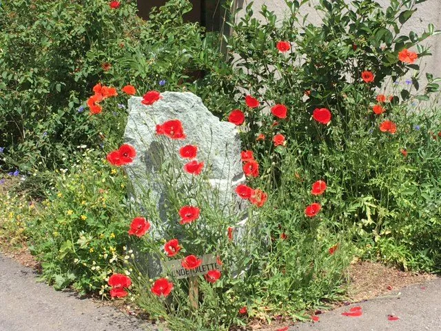 Чайная беседка