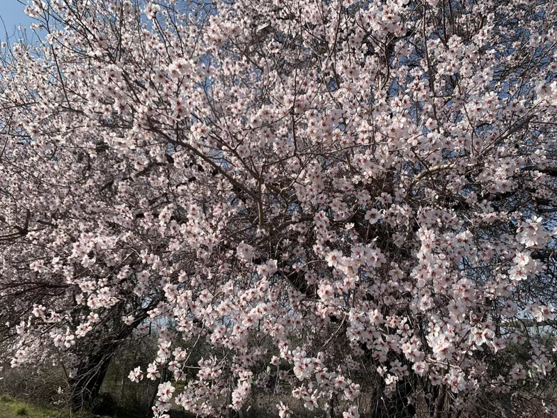 Фотонастроение