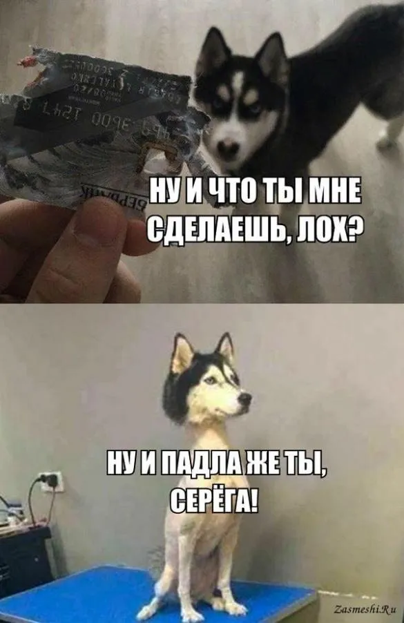Посмеялся сам - поделись с другом!!!