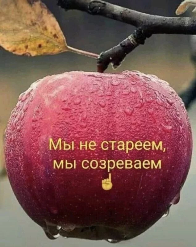 Позитивчик (фото, видео, рассказы для хорошего настроения)