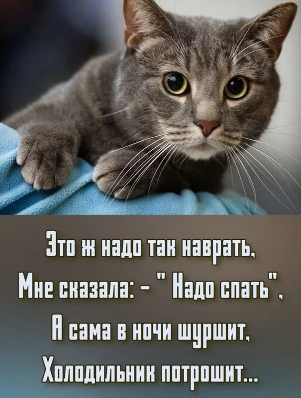 Посмеялся сам - поделись с другом!!!