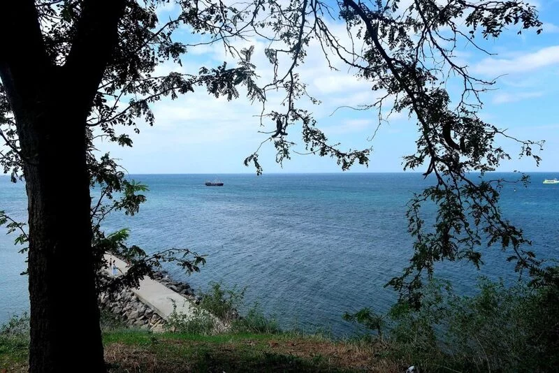 Красивые пейзажи