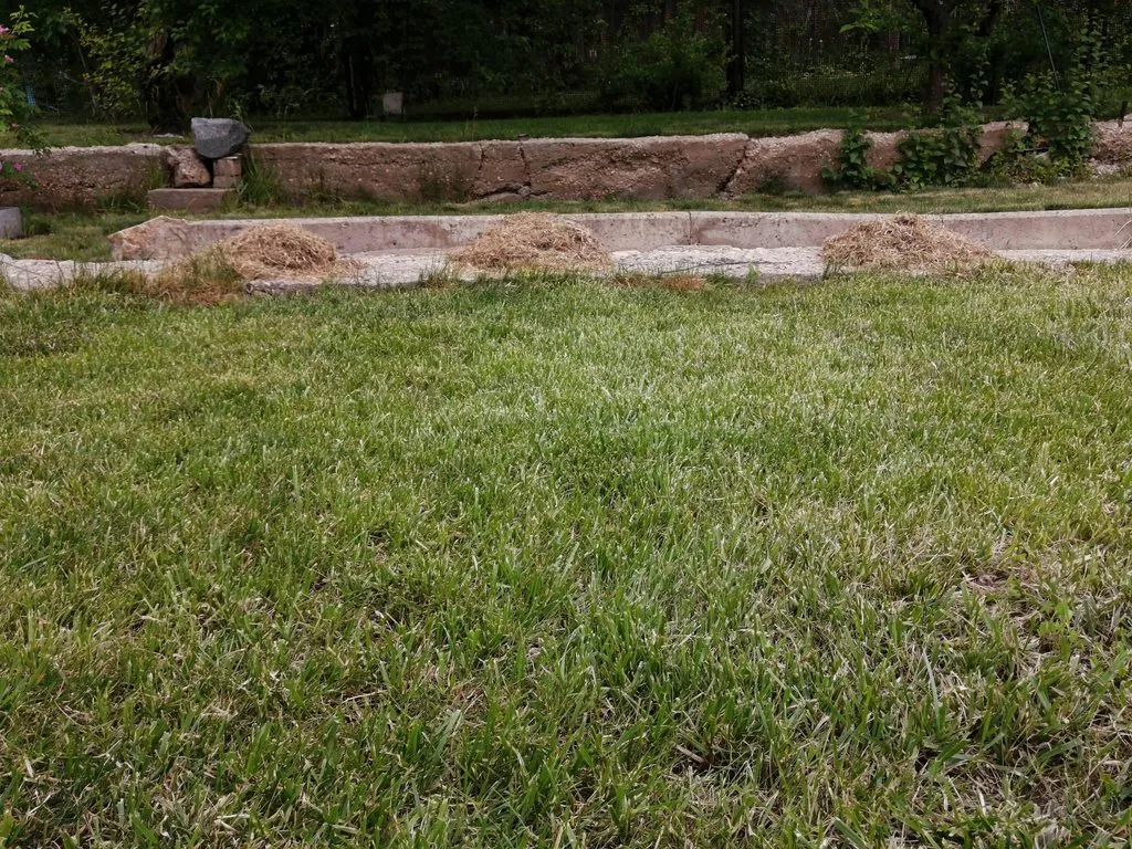 Чайная беседка