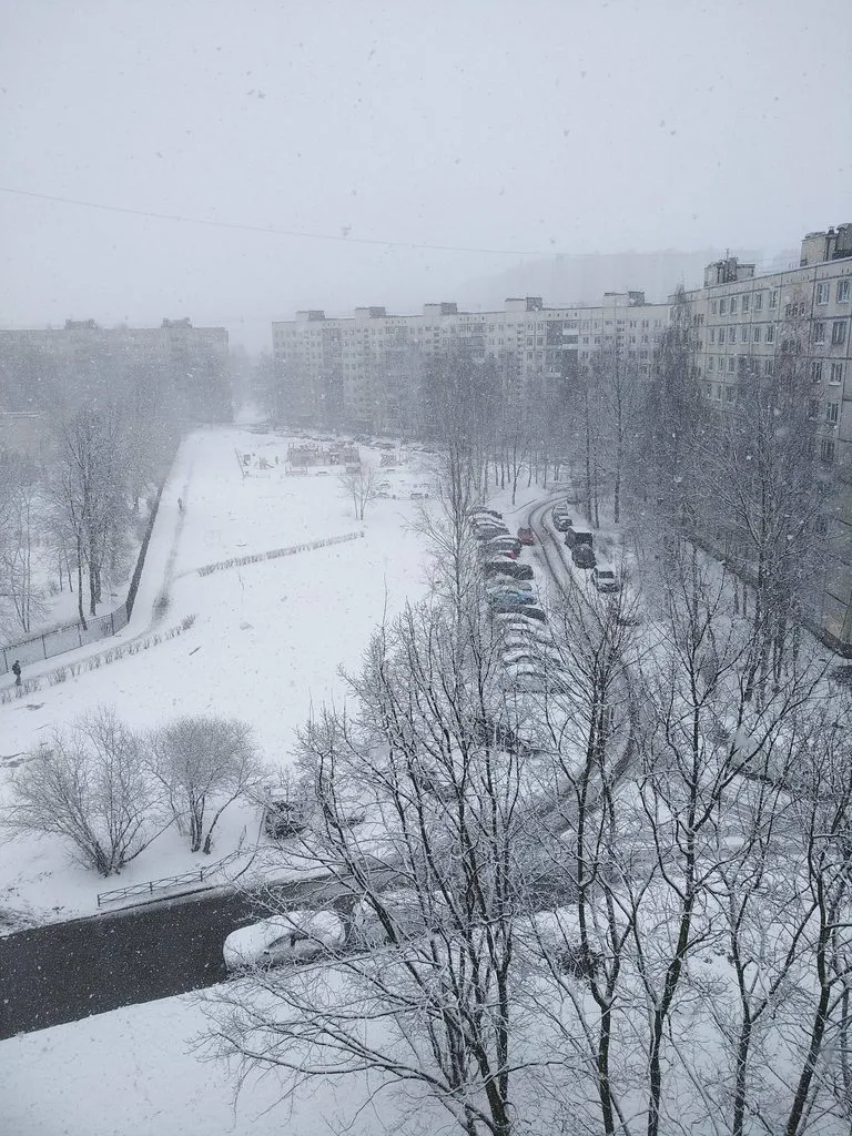 Tapтaлeтки & Ко