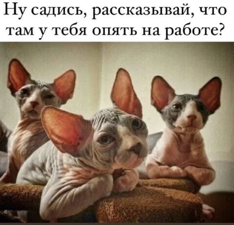 Посмеялся сам - поделись с другом!!!