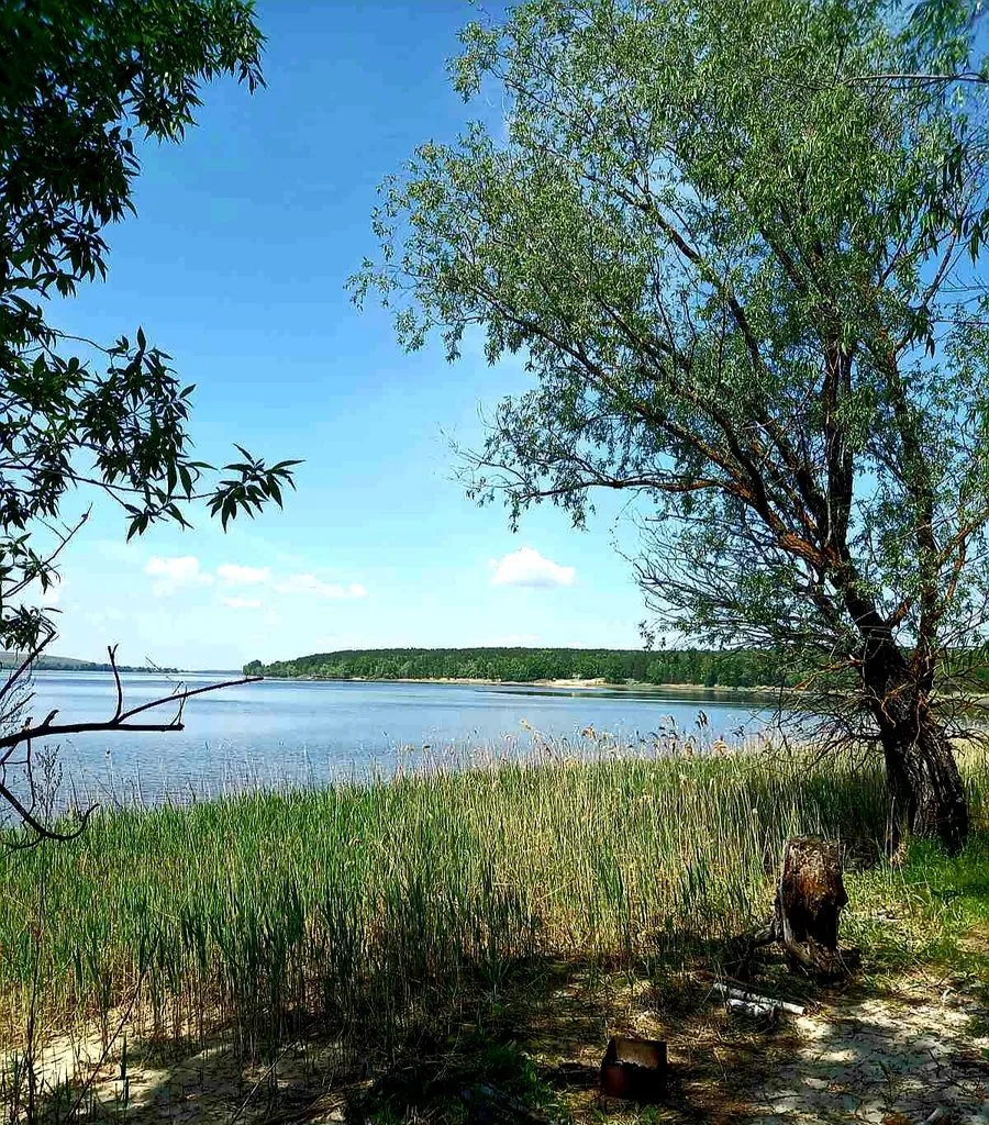 Красивые пейзажи