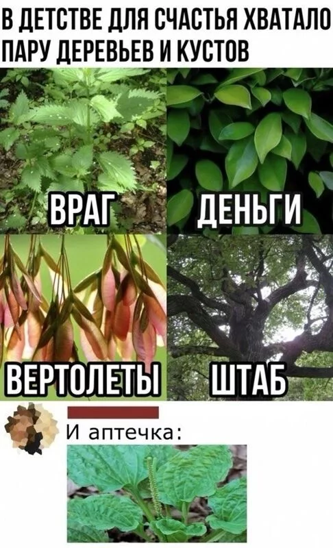 Посмеялся сам - поделись с другом!!!