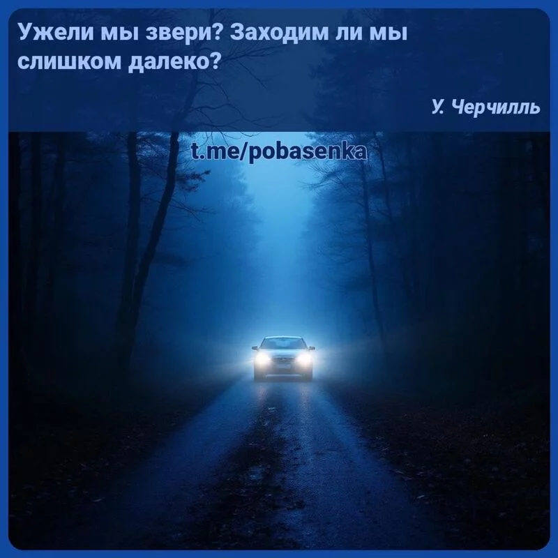 «Ужели мы звери? Заходим ли мы слишком...» height="550" width="550"
