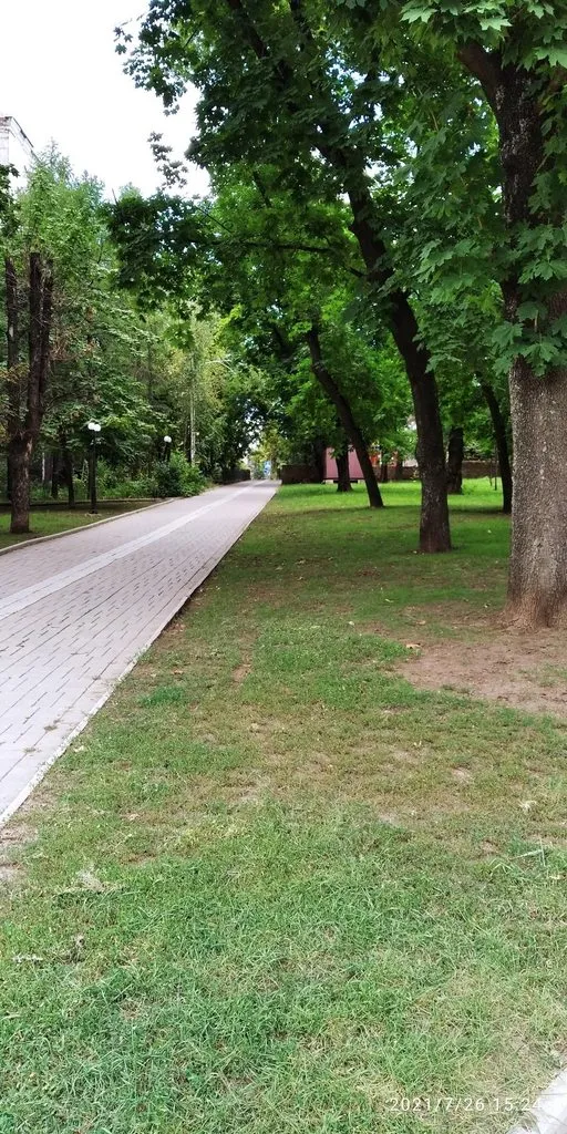 Tapтaлeтки & Ко