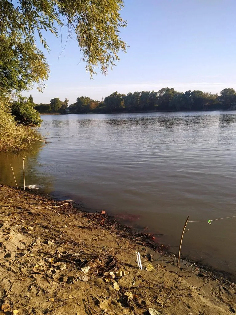 Чайная беседка