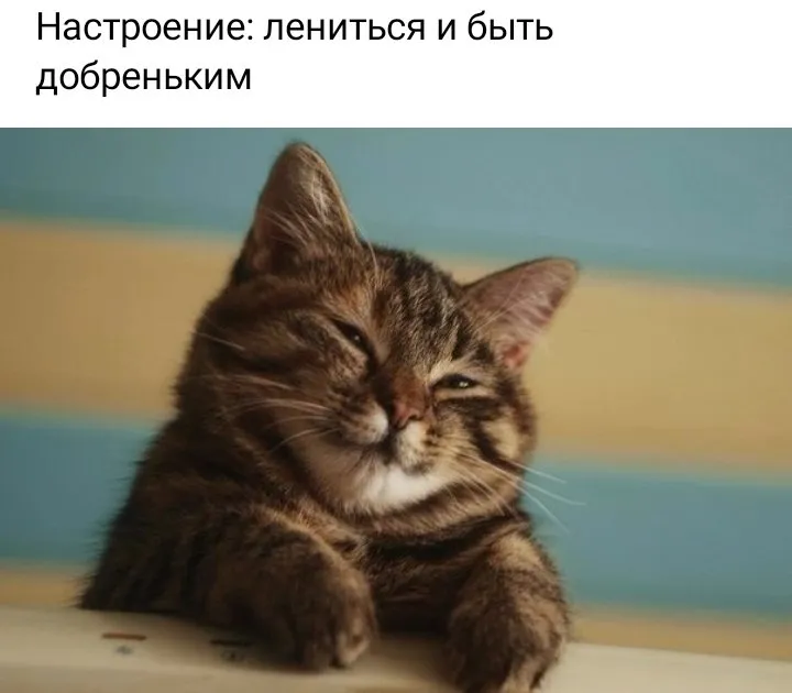 Кафе «У пани Сони»
