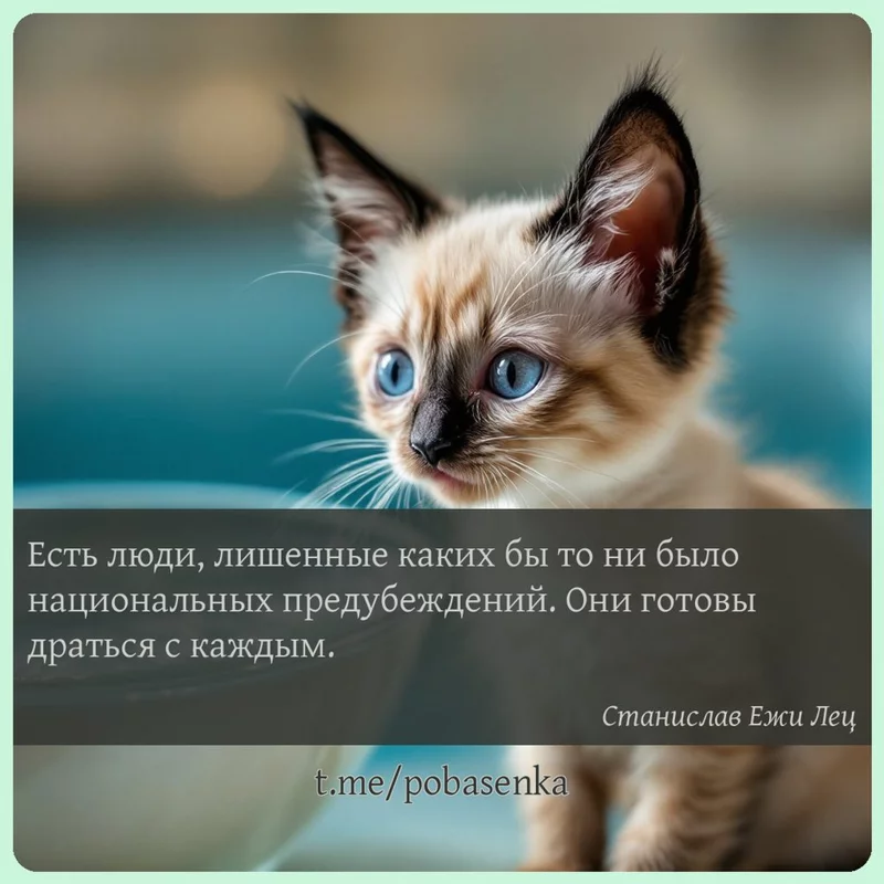 «Есть люди, лишенные каких бы то ни было национальных предубеждений. Они готовы драться с...» height="550" width="550"