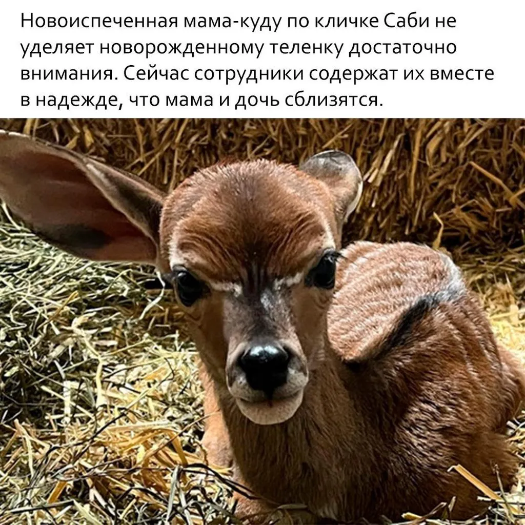 Это интересно!