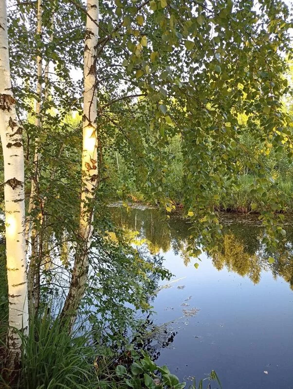 Фотонастроение