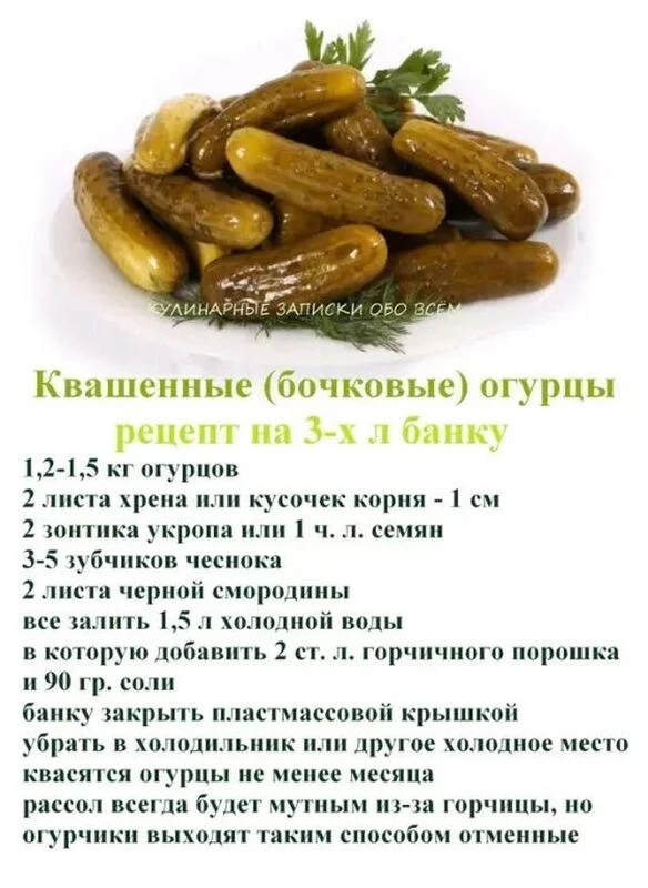 Кулинарная инфографика