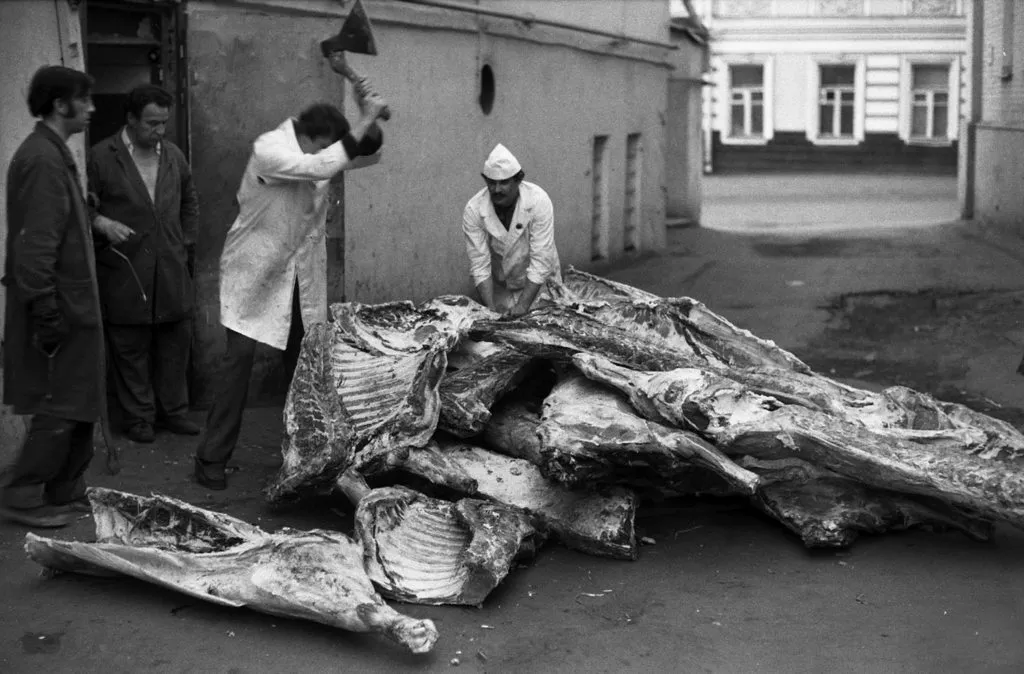 Запечатленная история