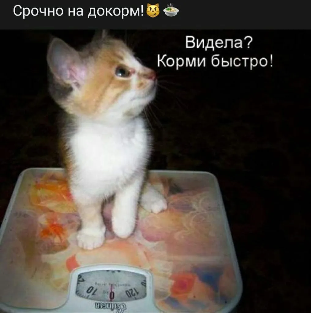 Посмеялся сам - поделись с другом!!!
