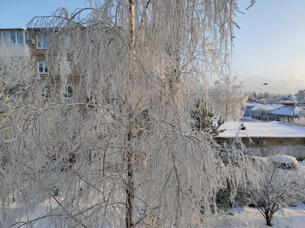 Чайная беседка