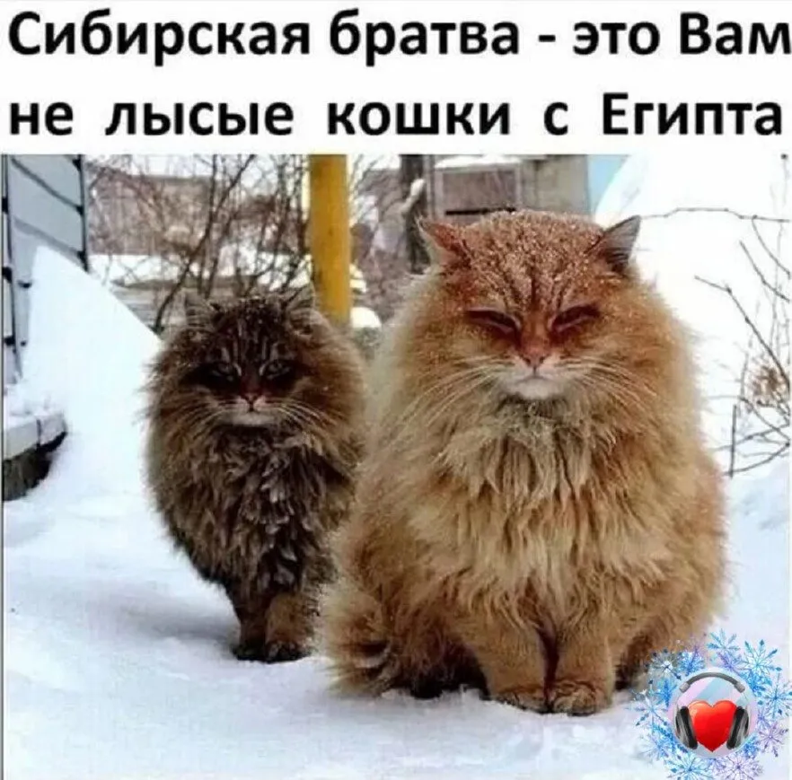 Посмеялся сам - поделись с другом!!!