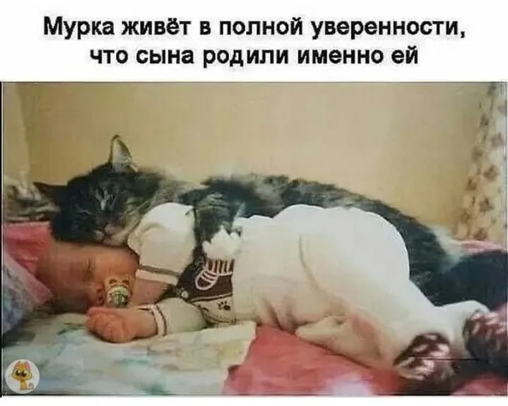 Посмеялся сам - поделись с другом!!!