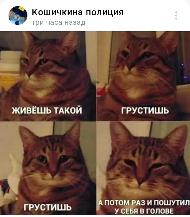 Кошичкина полиция