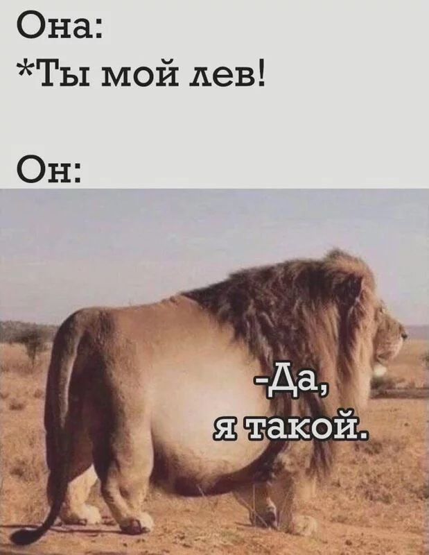 Посмеялся сам - поделись с другом!!!